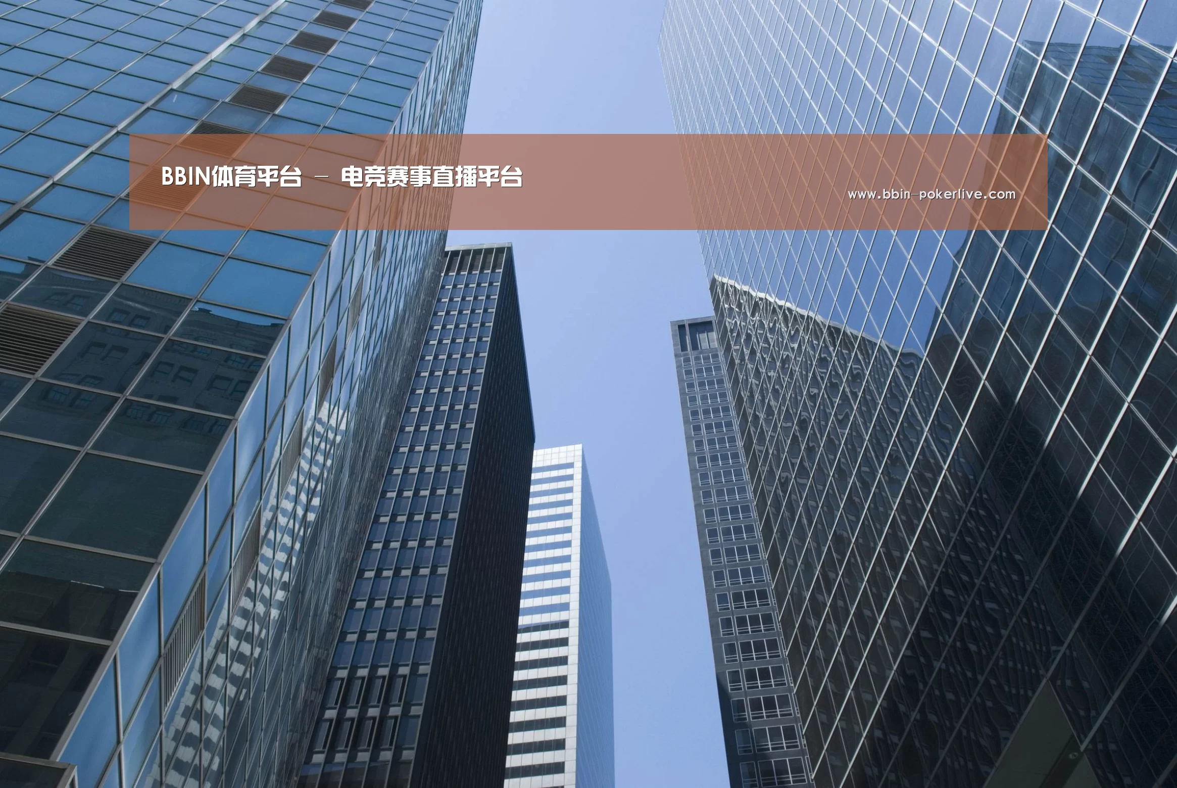 BBIN体育公司简介 