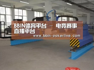产品名称十八