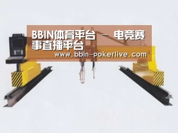 产品名称十七