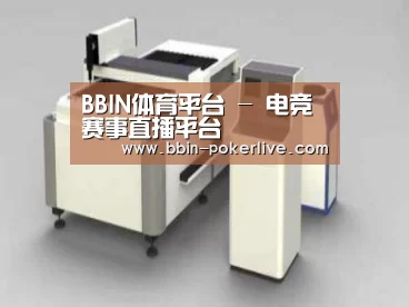 产品名称十五