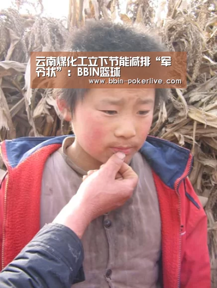 云南煤化工立下节能减排“军令状”：BBIN篮球